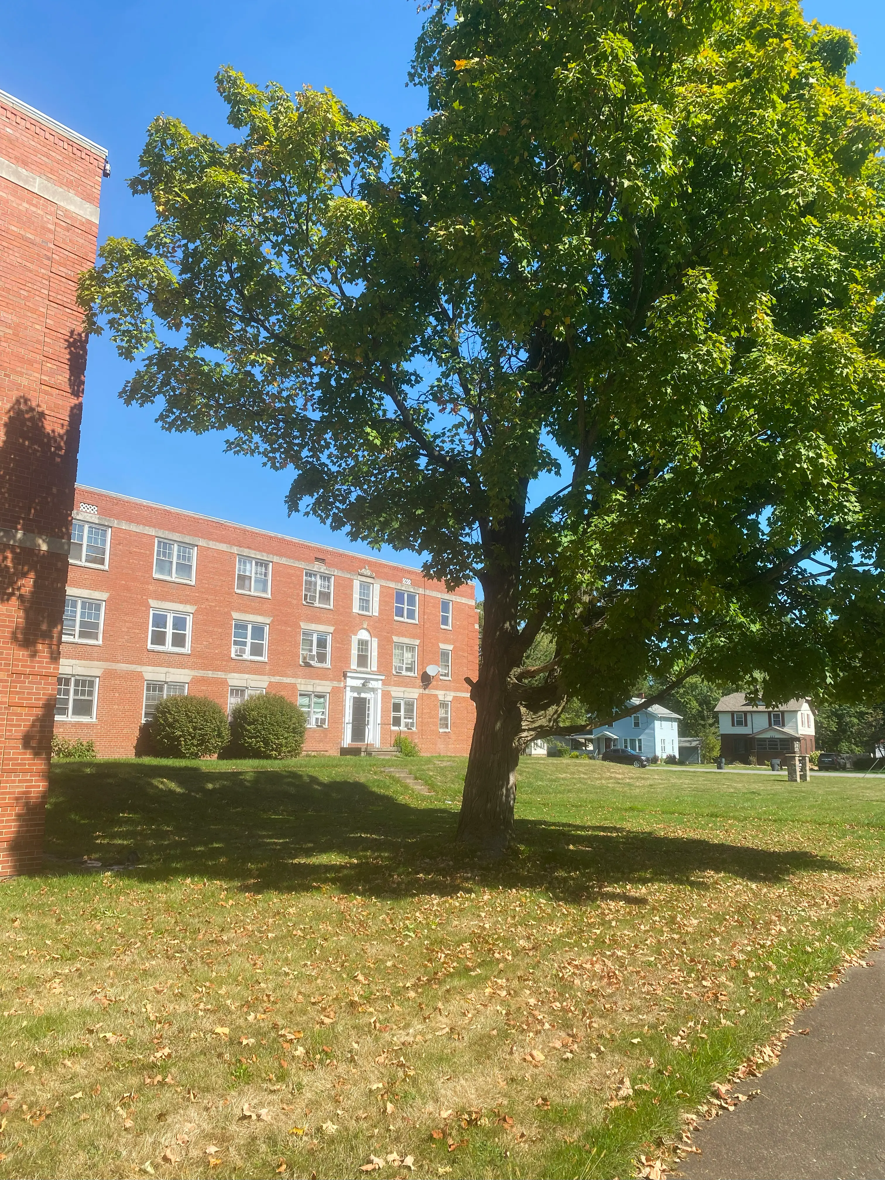 Southview apartment grounds